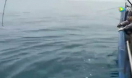 钓鱼的视频,跟随镜头探寻钓鱼的乐趣与技巧